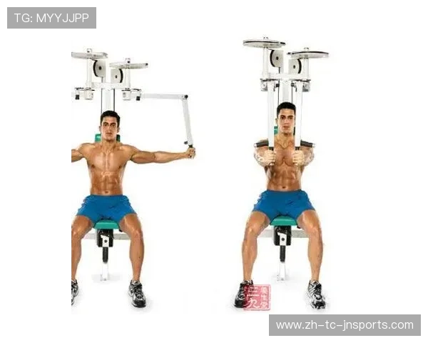 飞鸟健身器材应用及滑轮系统优势解析