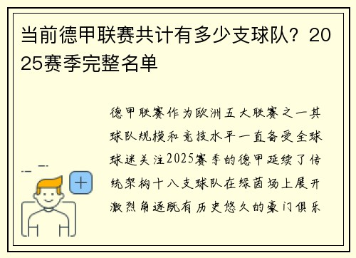 当前德甲联赛共计有多少支球队？2025赛季完整名单